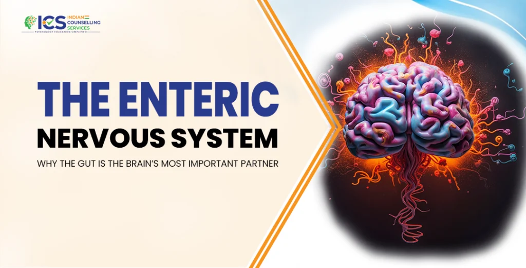 Enteric Nervous System